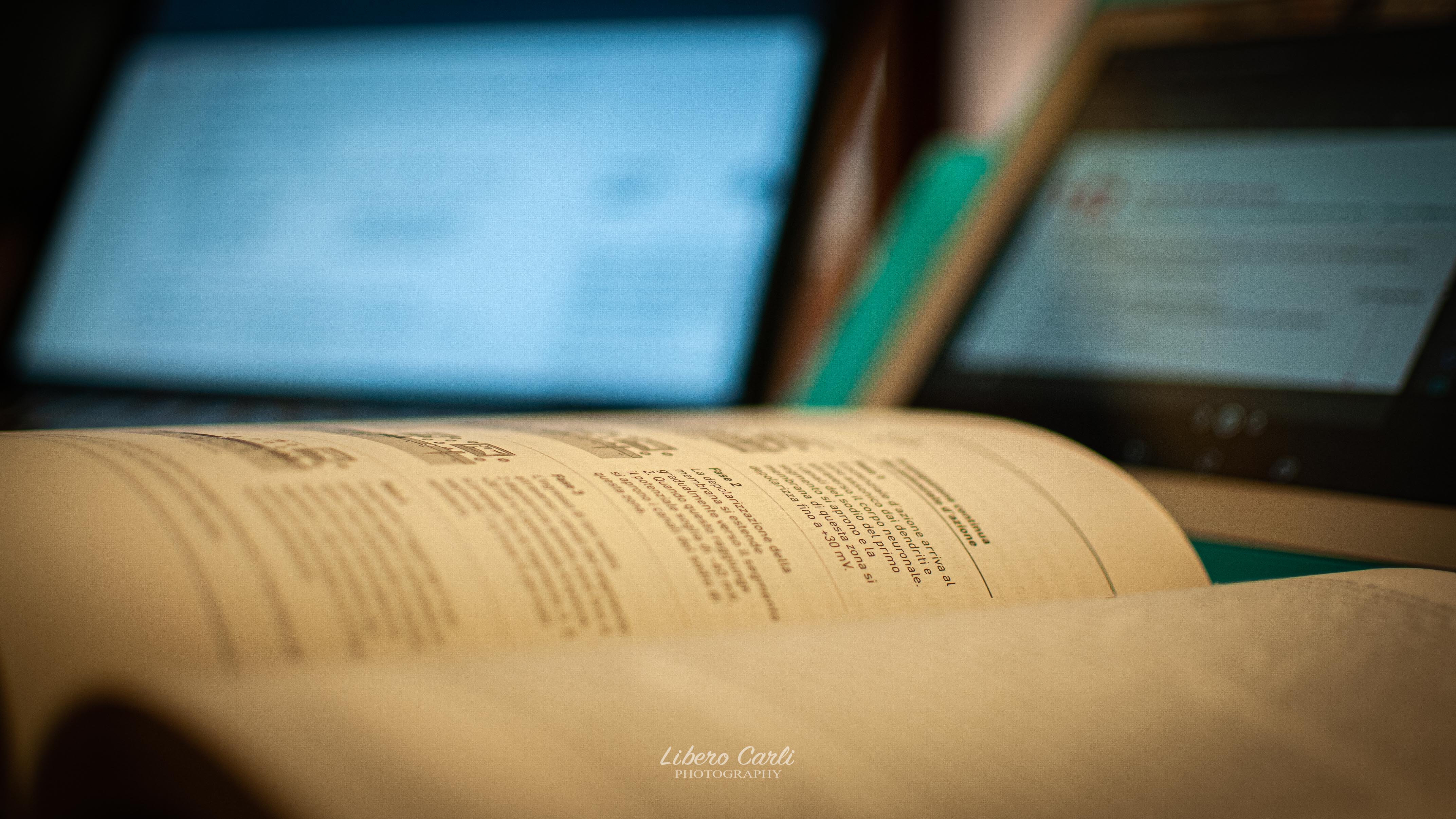 Didattica a distanza
