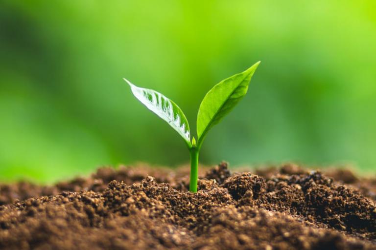 Biodiversità